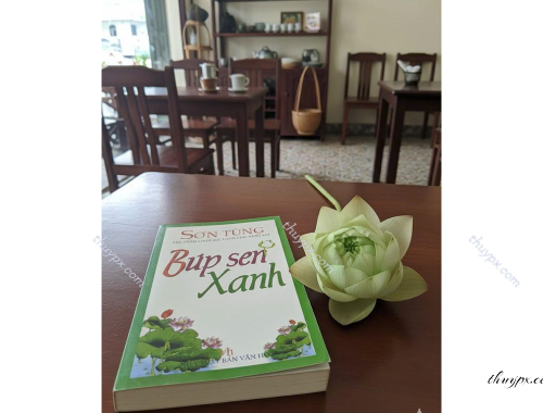 búp sen xanh nhà văn Sơn Tùng