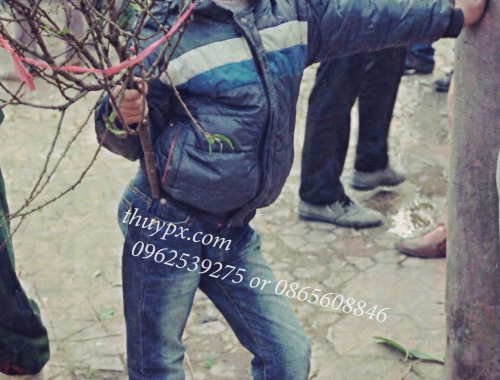 tạo ảnh hài hước, tạo ảnh theo trend thuypx.com